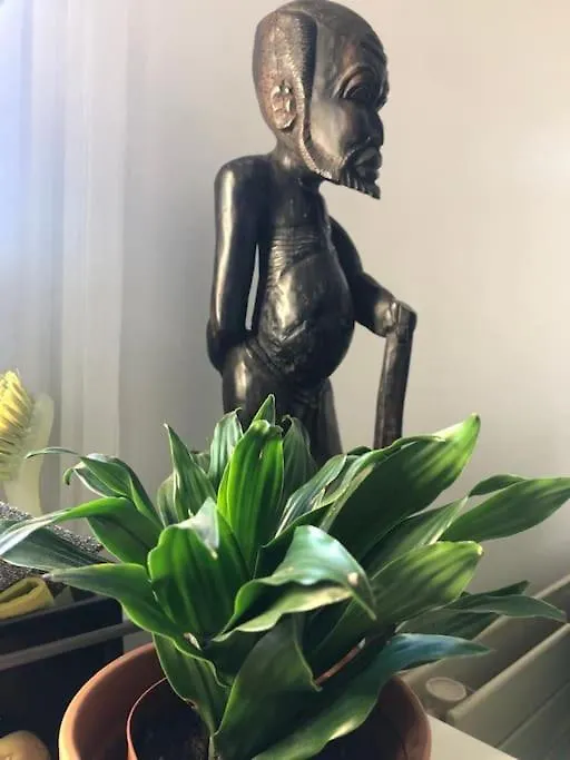 Paris Center Apartment Luxury